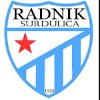 Radnik